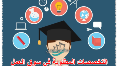 التخصصات المطلوبة في سوق العمل